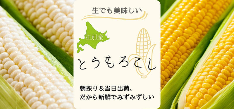 【送料無料】毎年大好評のとうもろこしが販売開始！朝採り＆当日出荷で新鮮